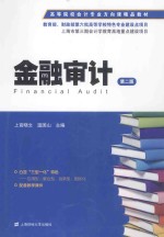 金融审计【上官晓文，温国山主编】-PDF电子版