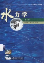 水力学  第2版【李大美，杨小亭主编】-PDF电子版