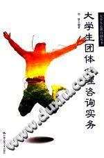 《大学生心理自助丛书  大学生团体心理咨询实务》txtpdf电子书籍百度网盘下载网站