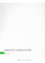低碳经济中的挑战与创新【于宏源著】-PDF电子版