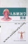 人体解剖学图谱