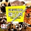 真有意思的微百科  可爱的哺乳动物