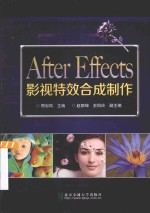 After Effects影视特效合成制作【邢彩凤主编；赵丽坤，史凤玲副主编】-PDF电子版