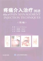 疼痛介入治疗图谱  第3版【（美）沃德曼原著】-PDF电子版