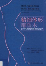 精细体形雕塑术  艺术与高级脂肪整形技术【AlfredoE.Hoyos，PeterM.Prendergast原著；李发成，韩雪峰主译】-PDF电子版