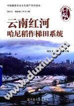 云南红河哈尼稻作梯田系统 PDF电子版-书查询-第3张图片