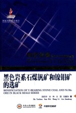 黑色岩系石煤钒矿和镍钼矿的选矿【胡岳华，孙伟，王丽，刘建东著】-PDF电子版