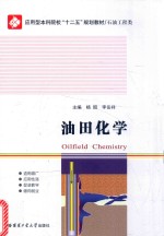 油田化学【杨昭，李岳祥主编】-PDF电子版