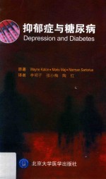 抑郁症与糖尿病【（美）韦恩·卡顿著；李明子，张小梅，陶红译】-PDF电子版