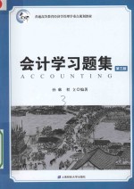会计学习题集  第3版【孙琳，程立编著】-PDF电子版