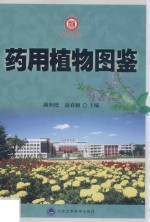 药用植物图鉴【谢利德，赵春颖主编】-PDF电子版