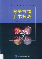 肩关节镜手术技巧【姜春岩，鲁谊，朱以明主编；姜春岩等编著】-PDF电子版