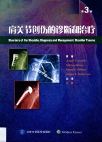 肩关节创伤的诊断和治疗【JosephP.Iannotti等原著；王蕾主译】-PDF电子版