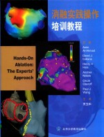 消融实践操作培训教程【AminiAl-Ahmad，OscarOseroff，PaulJ.Wang等原著；贾玉和主译】-PDF电子版