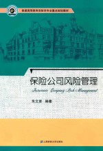 保险公司风险管理【朱文革编著】-PDF电子版