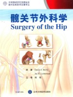 髋关节外科学【DanielJ.Berry，JayR.Lieberman原著；何伟主译】-PDF电子版