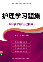 高级卫生专业技术资格考试用书  护理学习题集  副主任护师/主任护师【丁淑贞，吴冰主编；陈正女，沈桐，倪雪莲等副主编】-PDF电子版