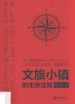文旅小镇的生存法则【陈仁科著】-PDF电子版