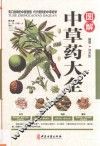 图解中草药大全