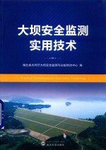大坝安全监测实用技术【湖北省水利厅大坝安全监测与白蚁预防中心编】-PDF电子版