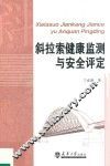 斜拉索健康监测与安全评定