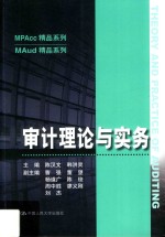 审计理论与实务【陈汉文，韩洪灵主编】-PDF电子版