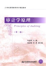 审计学原理【叶忠明主编；杨录强，田林副主编】-PDF电子版