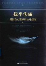 抚平伤痛  创伤性心理障碍治疗指南【（瑞士）乌尔里希·施奈德（Ulrich Schnyder），（美）玛丽莱纳·克卢瓦特（Marylene Cloitre）编】-PDF电子版