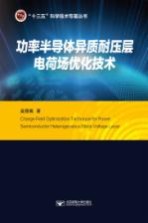 功率半导体异质耐压层电荷场优化技术【吴丽娟著】-PDF电子版