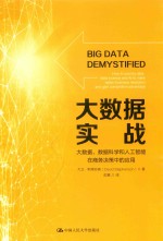大数据实战  大数据、数据科学和人工智能在商务决策中的应用【大卫·斯蒂芬森（David Stephenson）著】-PDF电子版
