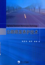 公路路面养护技术【杨彦海，杨野】-PDF电子版