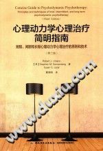 《心理动力学心理治疗简明指南  短程、间断和长程心理动力学心理治疗的原则和技术  第3版》txtpdf电子书籍百度网盘下载网站
