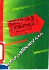 国际经济与中国走向繁荣的选择  国际经济关系初探