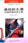 涌动的大潮  中国市场经济大观