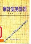 审计实务知识