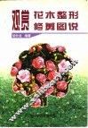 观赏花木整形修剪图说
