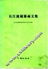 长江流域暴雨文集