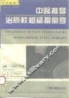 中医推拿治疗软组织损伤学  中英对照