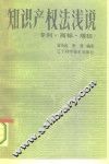 知识产权法浅说  专利·商标·版权