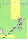 解剖学