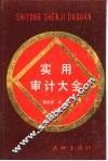 实用审计大全  下