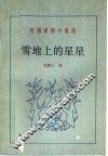 雪地上的星星  台湾爱情小说选