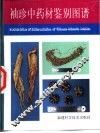 袖珍中药材鉴别图谱