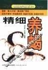 精细养蝎