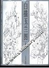白描玉兰图