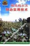 棉花病虫害防治实用技术