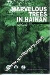 海南树木奇观  英文版