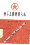 青年工作调研文集