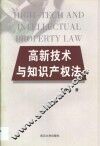 高新技术与知识产权法