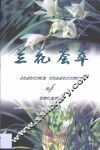 兰花荟萃  中英文对照